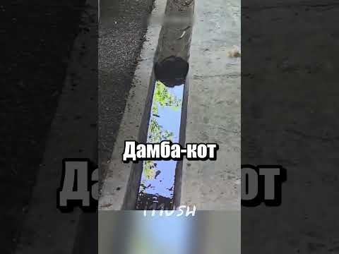 Важная новость thumbnail