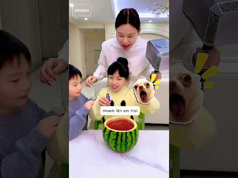 Quang hùng không chịu uống thuốc và cái kết thumbnail