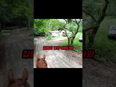 교육이 덜 된 주인 thumbnail