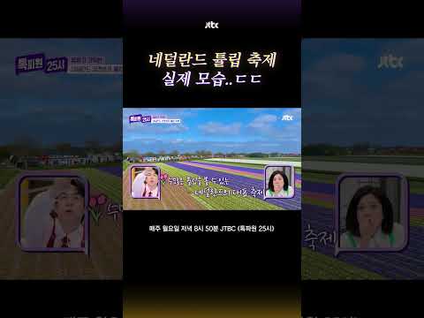 실제 네덜란드 튤립 축제의 모습 #톡파원25시 #shorts thumbnail
