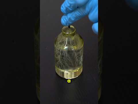 How Lightning Gets Trapped Inside Acrylic #shorts thumbnail