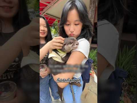 นากน้อยที่ชอบทักทายคนแปลกหน้า 🦦💗 thumbnail