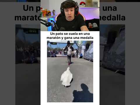 Un Pato Gana Una Carrera 🦆 thumbnail