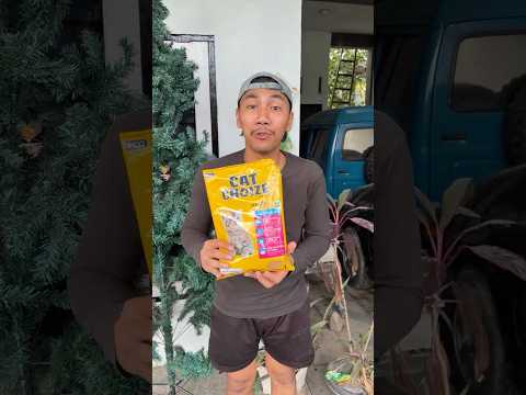 kasih makan kucing jadi kicau mania thumbnail