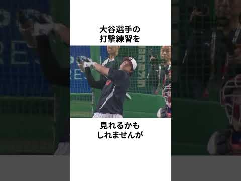 8歳の少年に企画を潰されたゴゴスマに関する雑学 #野球 #プロ野球 #野球雑学 #大谷翔平 thumbnail