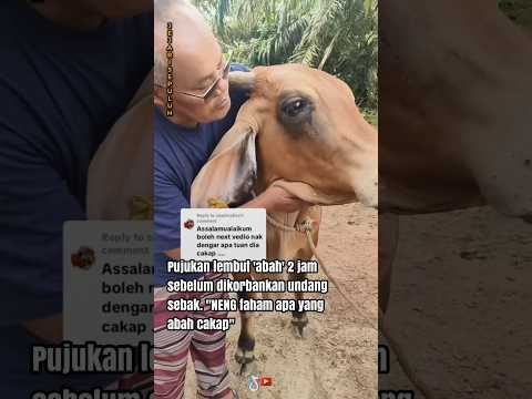 Jumpa abah kat syurga nanti ya neng🥹 thumbnail