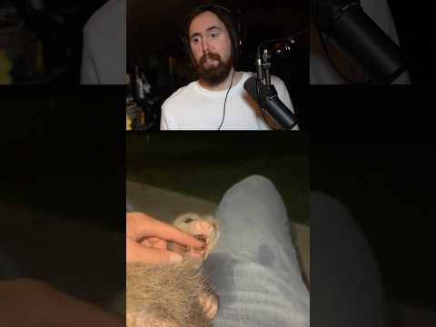 Found A New Pet thumbnail