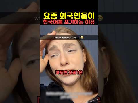 요즘 외국인들이 한국어를 포기하는 이유 thumbnail