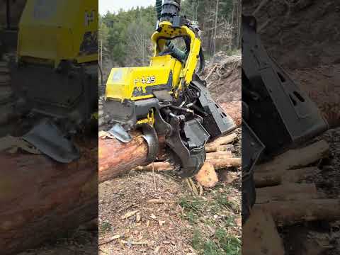 John Deere 1270G: Precision That Conquers the Forest #johndeere #forest #harvester #woodworking thumbnail