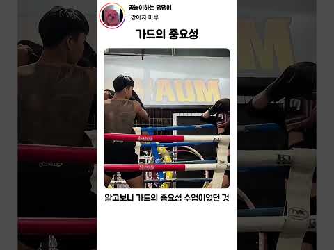 가드 안 했다가 자존심 구겨졌다 thumbnail