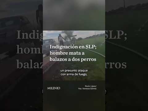 Hombre asesina a balazos a dos perritos en San Luis Potosí thumbnail