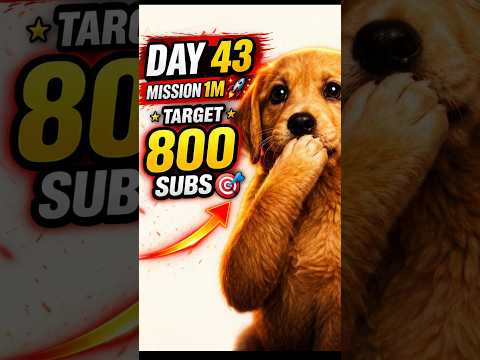 Mission 1M Day 43 | Next Target 800 Subscribers ? Small YouTuber Journey #mission1mwithyou #shorts thumbnail