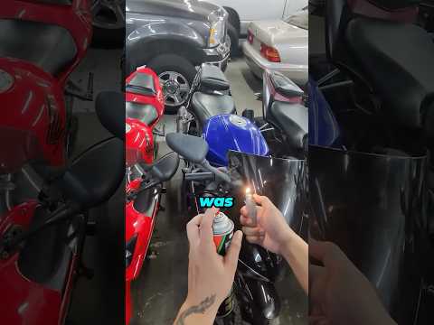 Biker Clears Insect Infestation On Bike 🦟 thumbnail