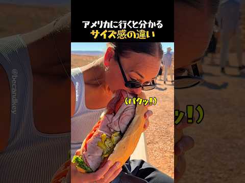 全部が大きすぎるアメリカの日常 thumbnail