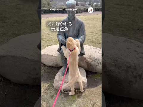 人じゃないよ｜PECO thumbnail