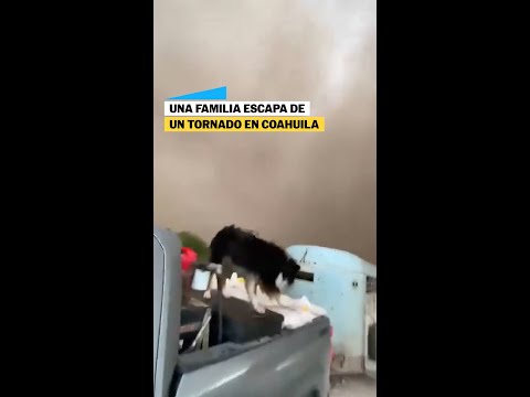 TORNADOS en COAHUILA: Una familia logra escapar junto a su perrro #shorts thumbnail