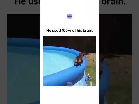 He used 100% of his brain. 🧠 thumbnail