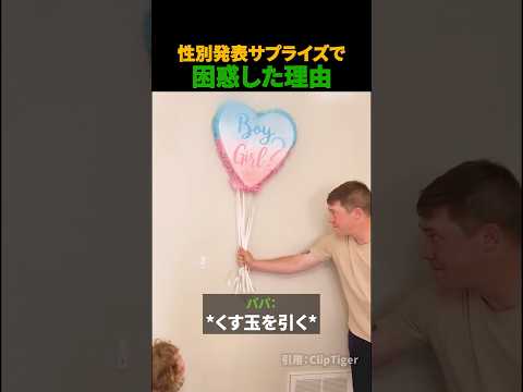 性別発表サプライズで困惑した理由 thumbnail