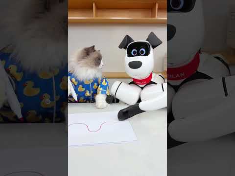 Some quality time with my buddy! #thatlittlepuff thumbnail