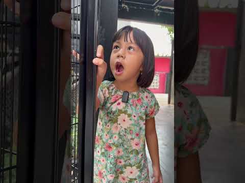Akhirnya bego punya aviary thumbnail