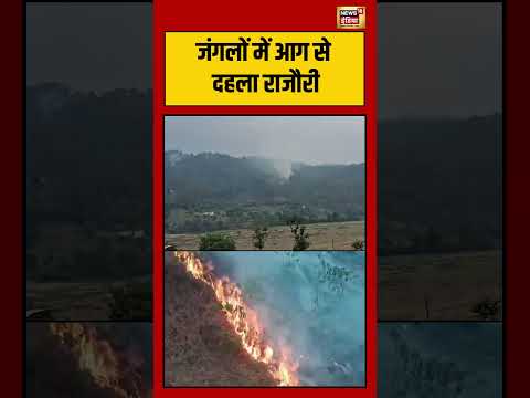 Viral Video | जंगलों में आग से दहला Rajouri | #shorts #Viralnews thumbnail