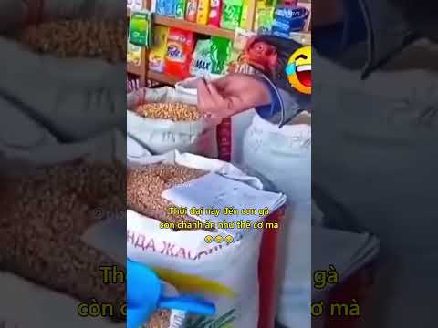 Thời đại này đến con gà còn chảnh ăn như thế cơ mà 😂 #haihuoc #giaitri #shorts thumbnail
