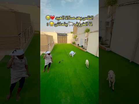 الناس لما تمسك الخروف بعد صلاة العيد 🔥😂💔-#عيد #عيد_الاضحى thumbnail
