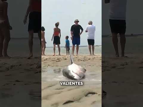 ¡El Rescate más Salvaje que has Visto! #shorts thumbnail