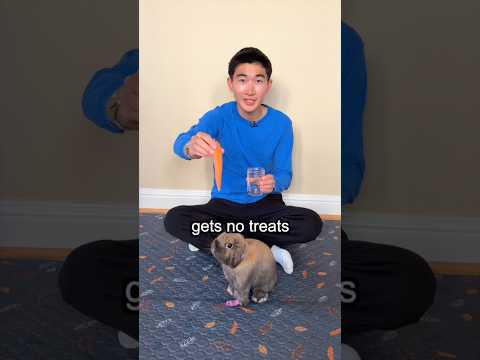 Make My Rabbit Happy ? thumbnail