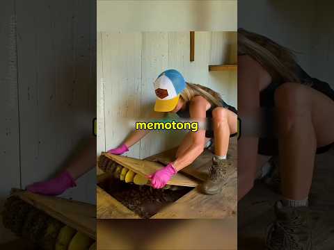 Penemuan Tersembunyi Di Bawah Lantai✨️ thumbnail