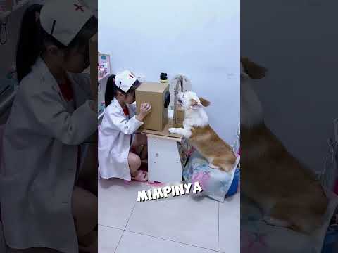 Dokter Cilik Dengan Anjing Hebat🥰#shorts thumbnail