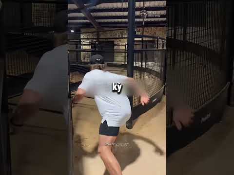 CÁI KẾT CỦA VIỆC THÁCH THỨC MÁY TẬP CHẠY HỆ... ĐỘNG VẬT 😅 | Date With Gym thumbnail