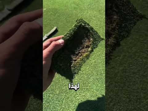 ماذا يحدث لملعب الغولف إذا تُركت هذه الحفرة؟ thumbnail