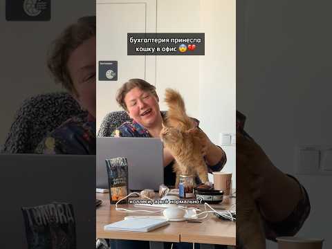 с кошечкой ведь реально лучше работается ??Ириску в команду??поддержите? thumbnail