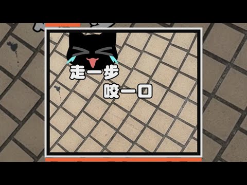 阿金散步不想回家　頻咬主人拖鞋超固執XD thumbnail