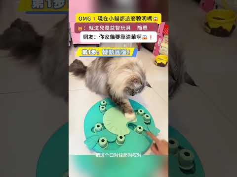 OMG💥❗現在小貓都這麼聰明嗎😱‼️🐱：就這 還益智玩具❓簡單❗網友：你家貓要考清華啊😱❗ #cat #cute #funny #shorts #funnyshorts #smart thumbnail