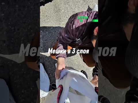 Братья вместо администрации thumbnail