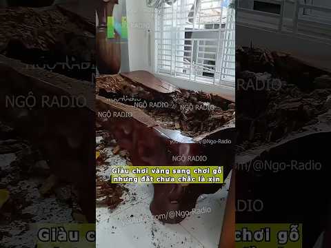 Giàu chơi vàng sang chơi gỗ nhưng đắt chưa chắc là xịn thumbnail