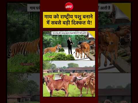 Syed Suhail | Cow National Animal Row | गाय को राष्ट्रीय पशु बनाने में सबसे बड़ी दिक्कत ये! #shorts thumbnail