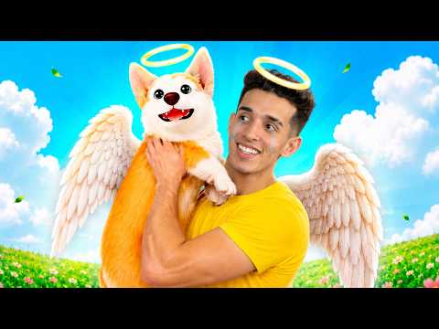 OS CACHORRINHOS VÃO PARA O CÉU QUANDO MORREM? thumbnail