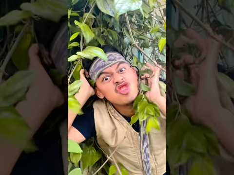 nyanyi lagu kicau kicau kicau mania ! thumbnail