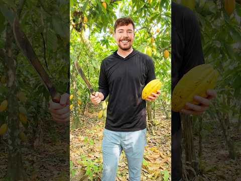 How Chocolate Can Change a Child’s Life thumbnail