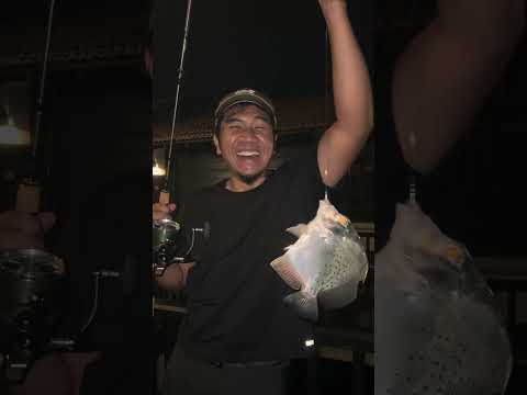 MANCING KAT AVILLION PORT DICKSON. thumbnail