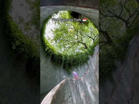 Most Beautiful Places in Singapore ?? | #shorts #travel #explore #nature #viral #adventures thumbnail