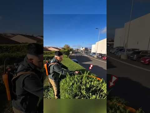 He Cutting Tree Leaves 😱 thumbnail