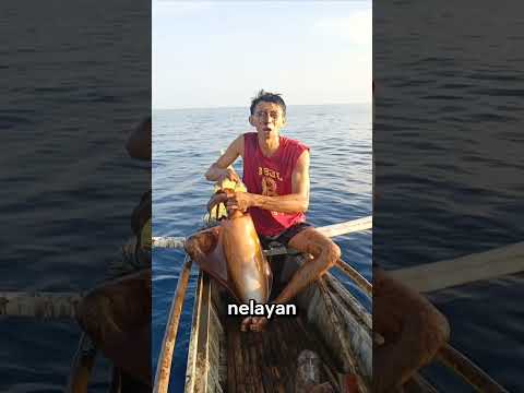Tinta Cumi-Cumi Ini Nempel di Kulit Hampir 2 Minggu thumbnail