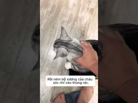 một sự hiểu lầm buồn cười thumbnail