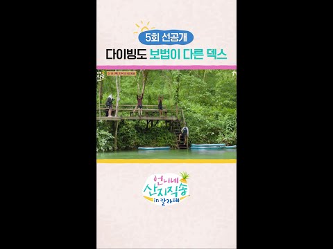 [선공개] 덱스식 다이빙 ㅋㅋ #언니네산지직송in칼라페 thumbnail