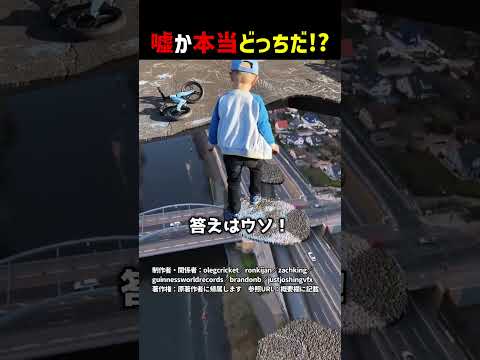嘘か本当どっちだ！？part22 #shorts #クイズ thumbnail
