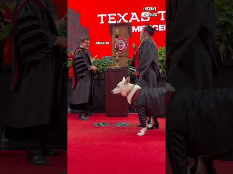 Cet invité spécial reçoit une surprise inattendue lors de cette remise des diplômes thumbnail